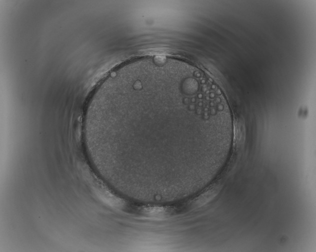 X0000111530301200908251209