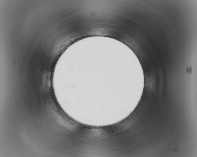 X0000111530302200908251209