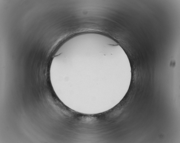 X0000111530304200908251209