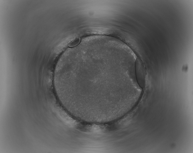 X0000111530305200908251209