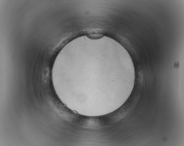 X0000111530308200908251209