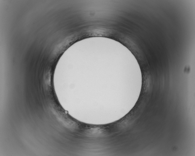 X0000111530310200908251209