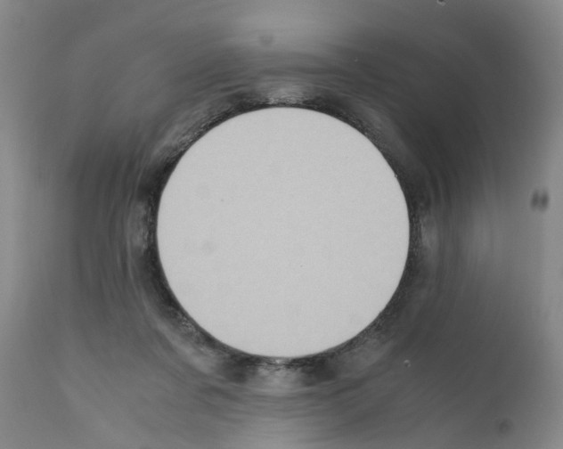 X0000111530311200908251209