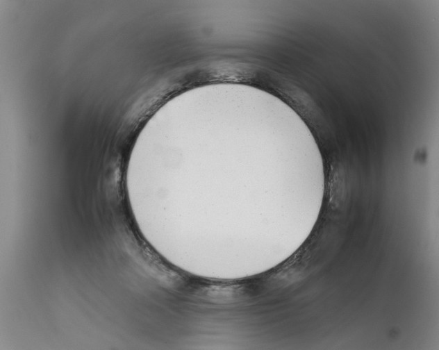 X0000111530314200908251209