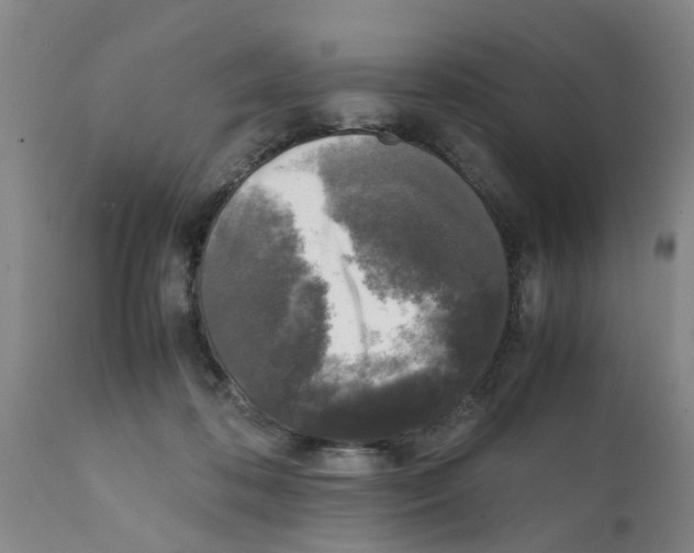 X0000111530316200908251209