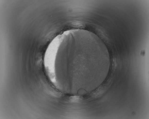 X0000111530320200908251209