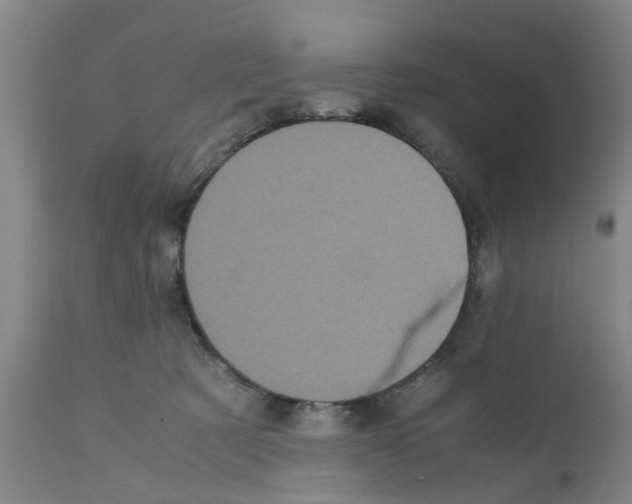 X0000111530321200908251209