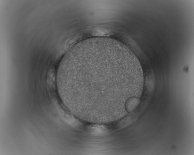 X0000111530322200908251209