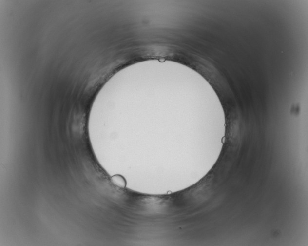 X0000111530326200908251209