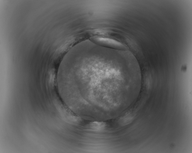 X0000111530328200908251209