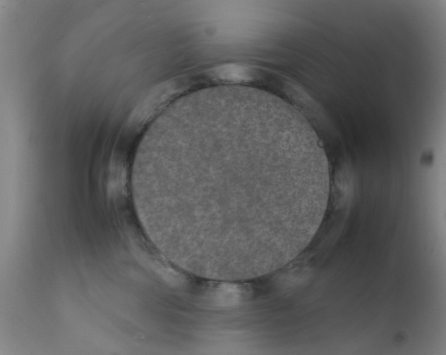 X0000111530330200908251209