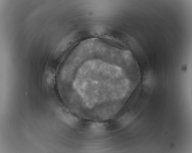 X0000111530332200908251209