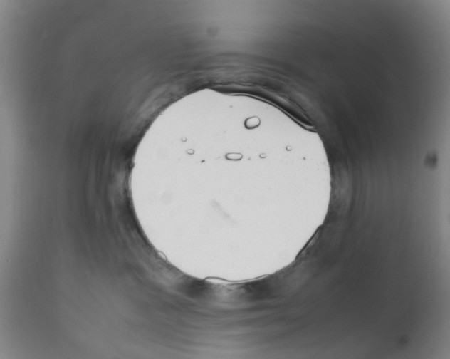 X0000111530333200908251209