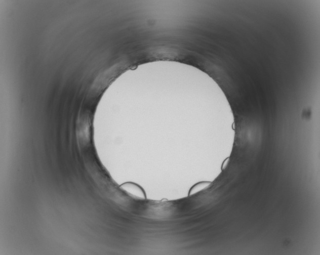 X0000111530334200908251209