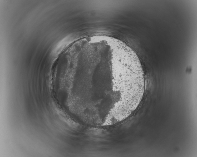 X0000111530339200908251208