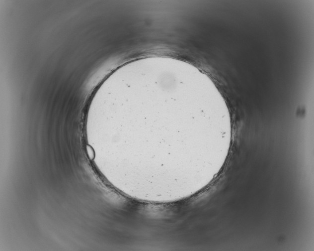 X0000111530341200908251208