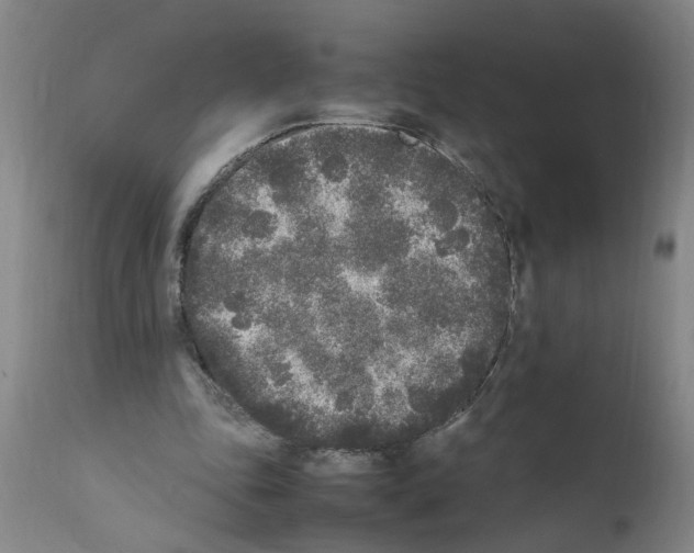 X0000111530343200908251208