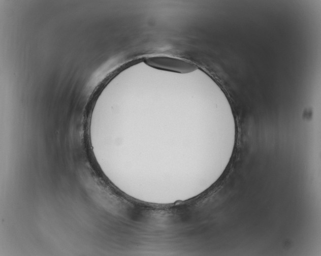 X0000111530344200908251208