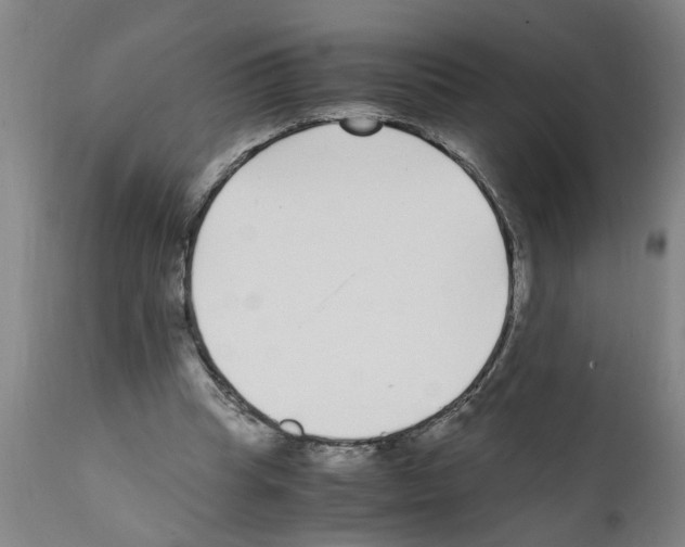 X0000111530345200908251208