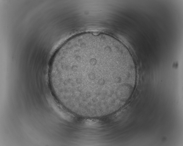 X0000111530346200908251208