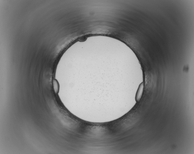 X0000111530348200908251208