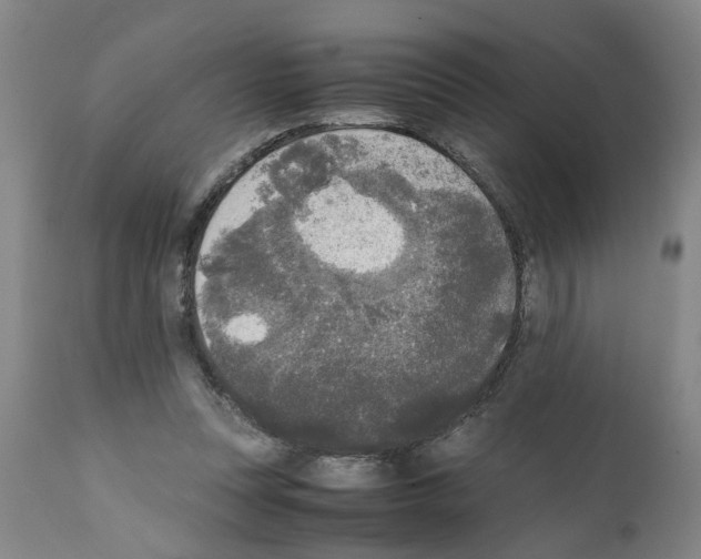 X0000111530351200908251208