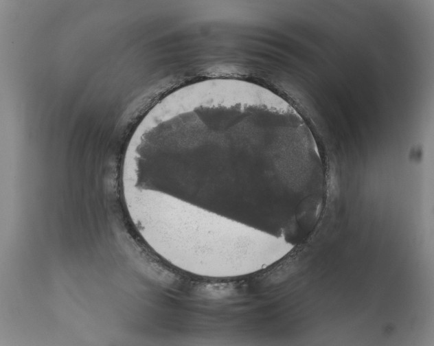 X0000111530353200908251208