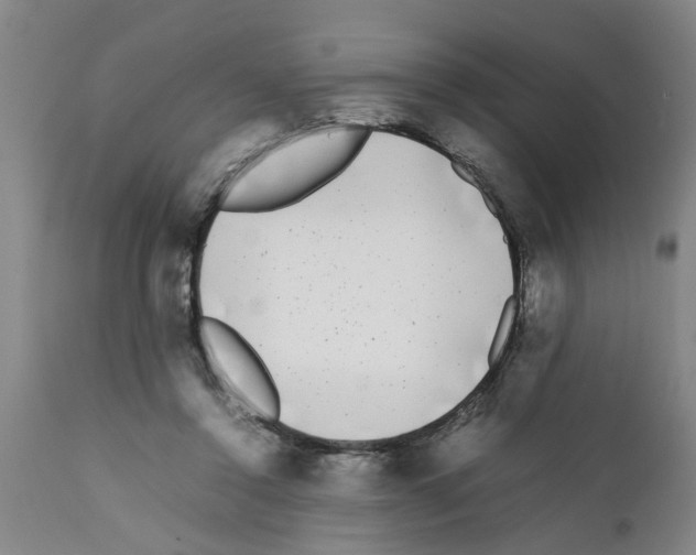 X0000111530356200908251208