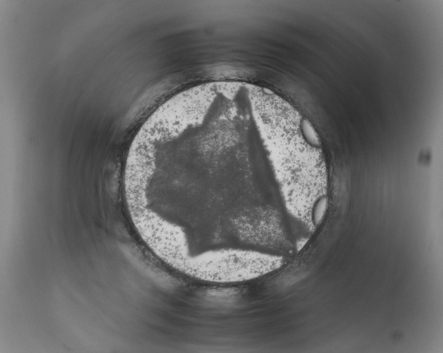 X0000111530357200908251208