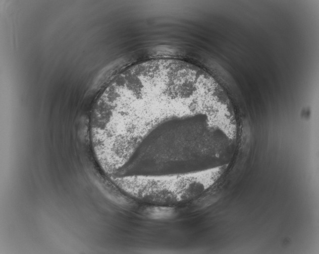 X0000111530361200908251208