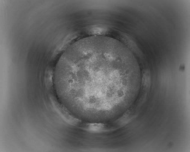 X0000111530363200908251208