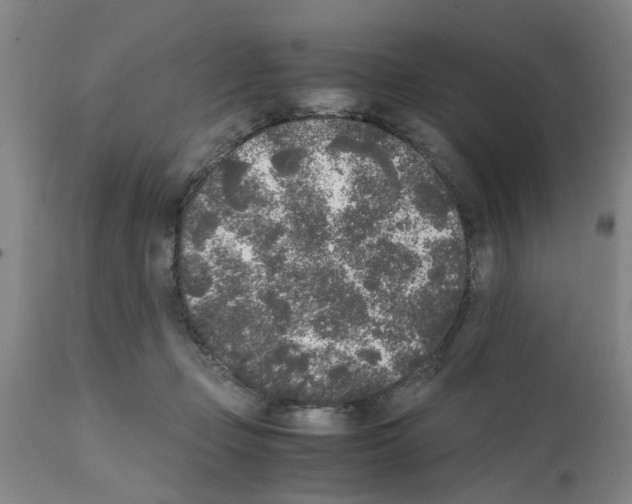 X0000111530365200908251208