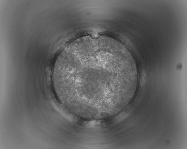 X0000111530366200908251208