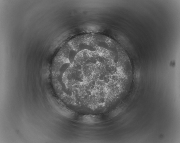 X0000111530367200908251208