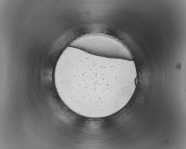 X0000111530368200908251208