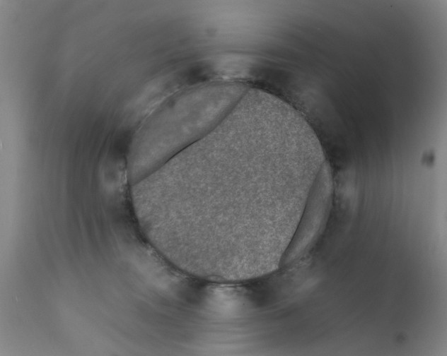 X0000111530372200908251208