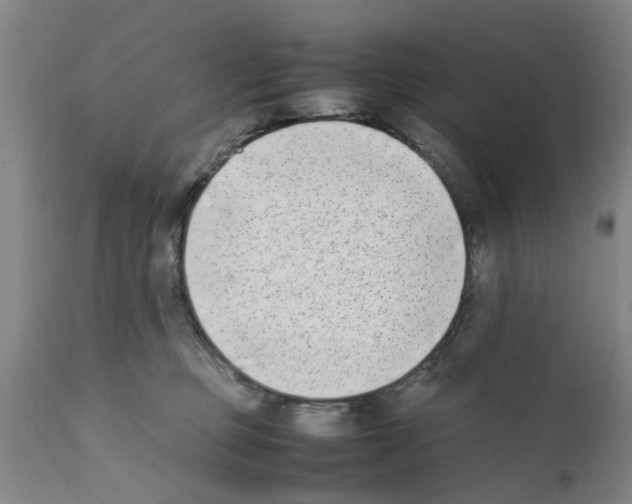 X0000111530373200908251208