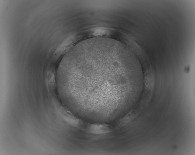 X0000111530375200908251208