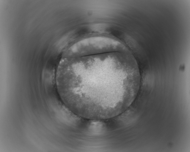 X0000111530376200908251208