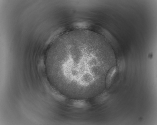 X0000111530377200908251208