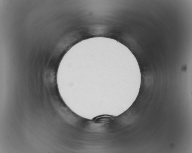 X0000111530380200908251208