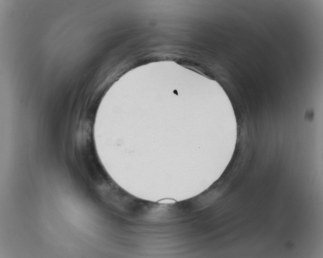 X0000111530382200908251209