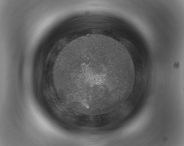 X0000111530383200908251209