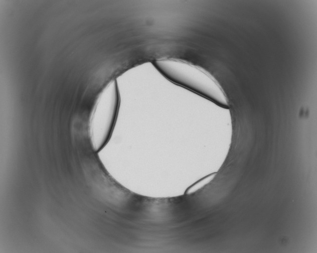 X0000111530384200908251209