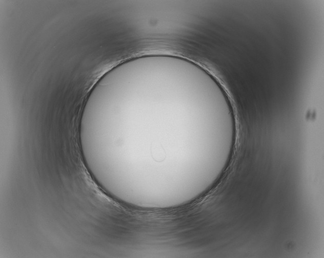 X0000111530385200908251208