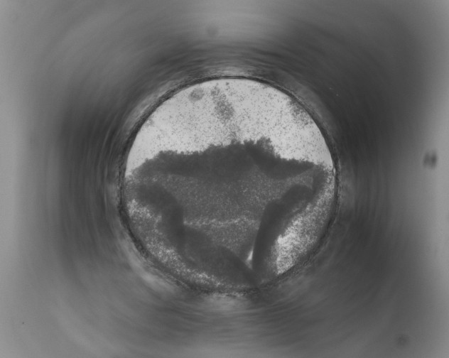 X0000111530386200908251208