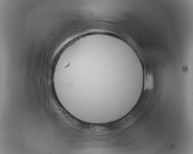 X0000111530387200908251208