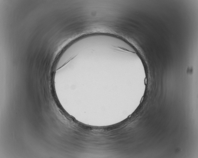 X0000111530391200908251208