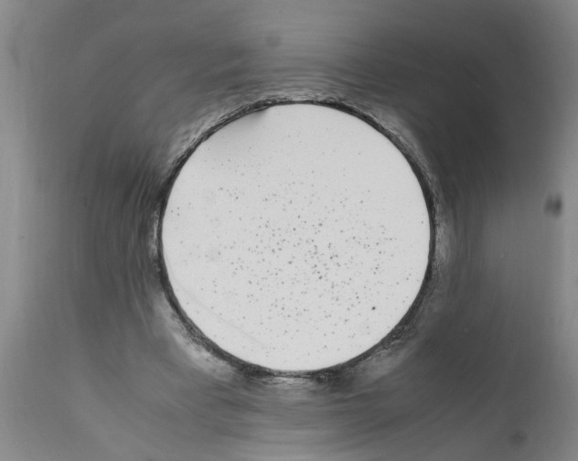 X0000111530393200908251207