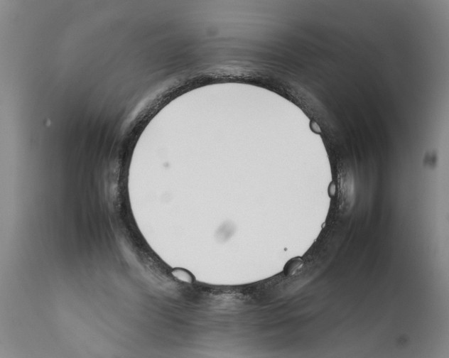 X0000111530396200908251207